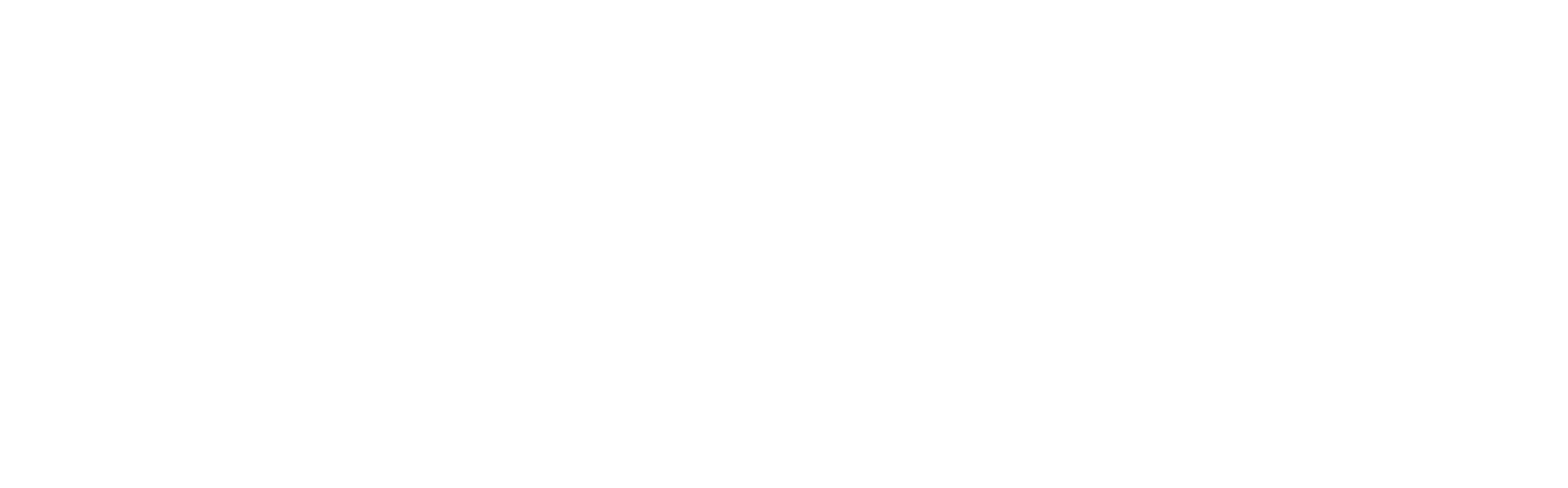 Striebel Training Logo
