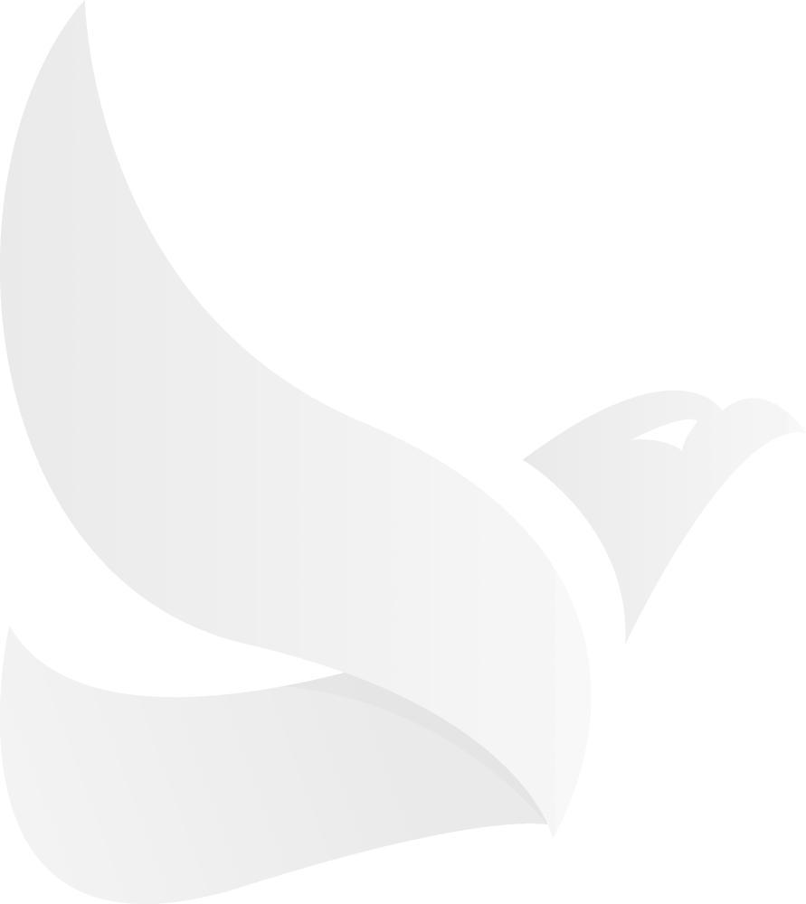 Bernhard-Striebel-Vogel-grey-light-animation